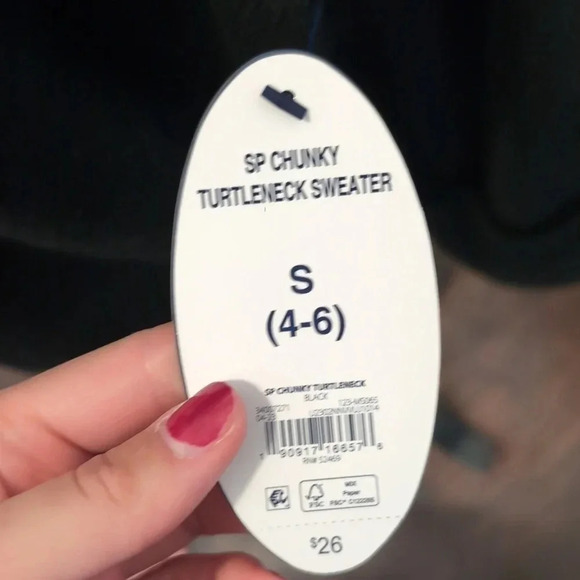 Scoop Chunky Turtle Neck Sweater - Picture 3 of 9